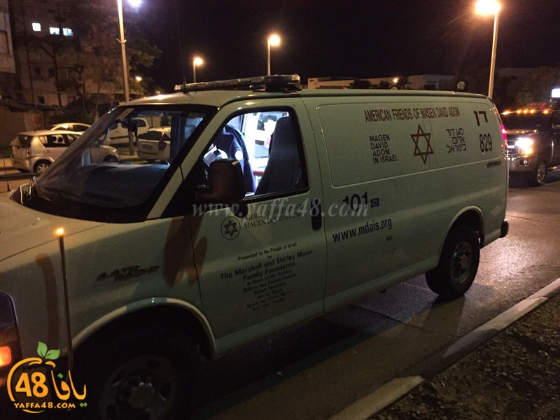 horse yeaffa (5).jpg